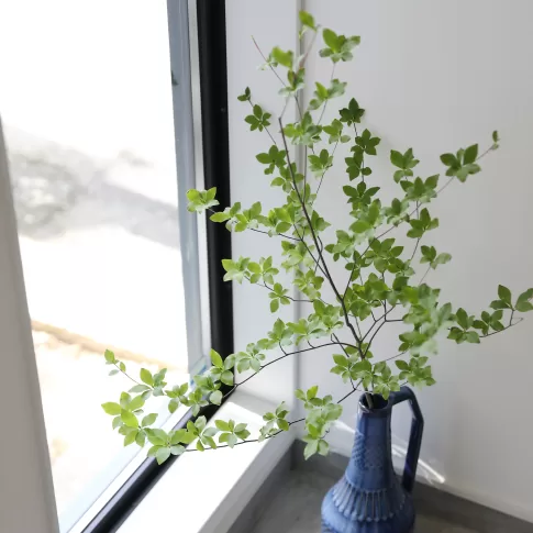 土間書斎と回遊LDKがある3階建ての家