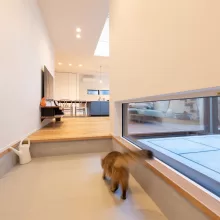 住まいとペット｜家族も動物も快適な間取り