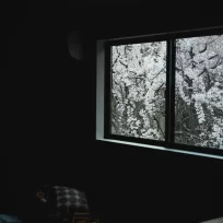 住まいと景色｜窓の向こうを楽しむ設計