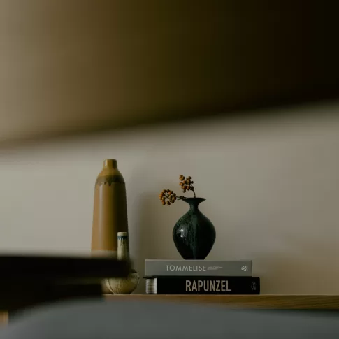 狭小地でも叶う光と風がめぐる心地よい家