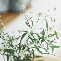 立春を迎えて。冬のあたたかさを考える