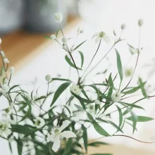 立春を迎えて。冬のあたたかさを考える