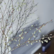 2月のお便り　節分を過ぎて、春の気配