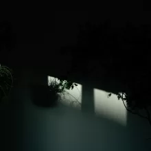 春分を越えて、暮らしを整える。家を見直すちょうどいいタイミング