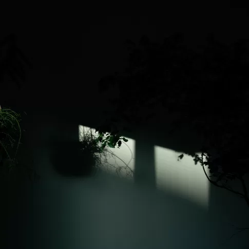 家事も子育ても自然と整う家
