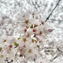 季節の変わり目に、暮らしを整える